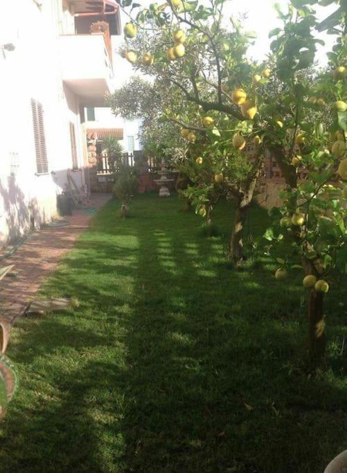 Su Suergiu Villa San Giovanni Suèrgiu Екстериор снимка
